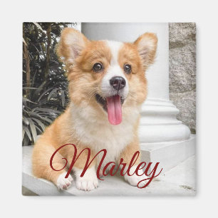 Moderno imán ruso simple Personalizado Mascota de