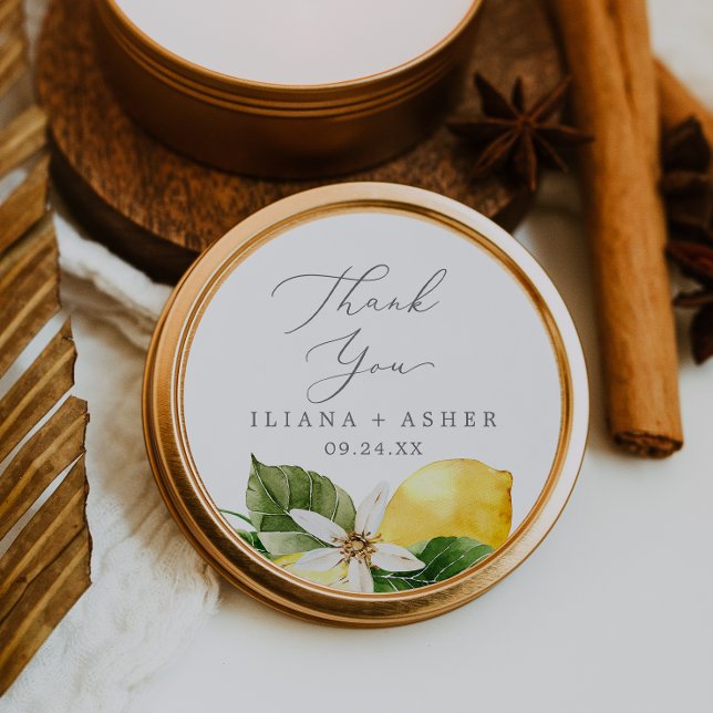 Moderno Jardín de Limón Gracias Por Favor Pegatina (Subido por el creador)