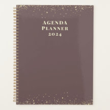 Moderno Plan de Agenda 2024