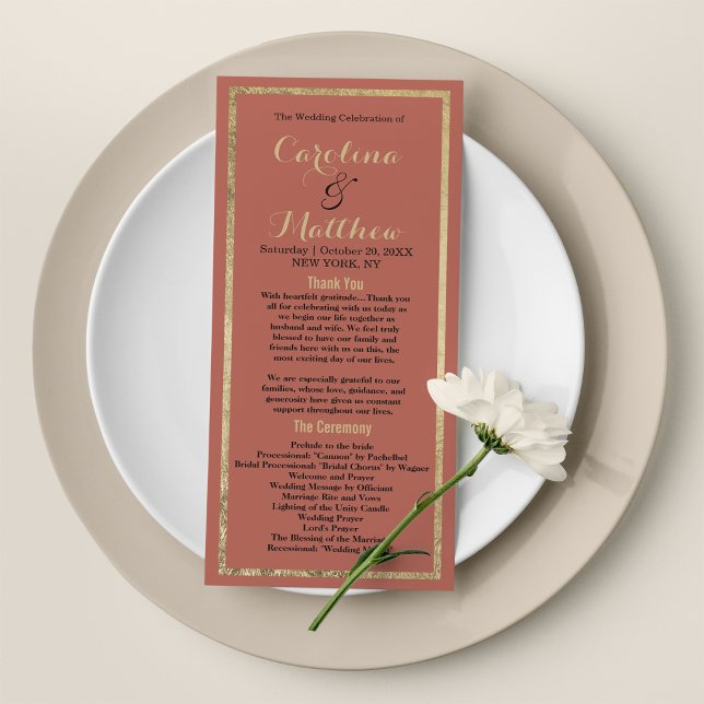 Moderno y elegante programa de oro de melocotón ro (Modern simple elegant rosy peach gold Program)