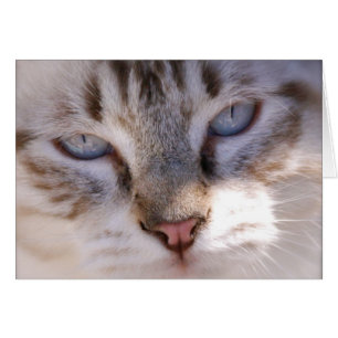 Modifique su propia tarjeta del mascota para