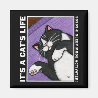 Modo de sueño v.02 - Es el imán de vida de un gato