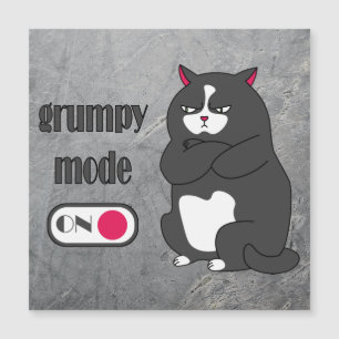 Modo gruñón en la tarjeta magnética del gato gordo