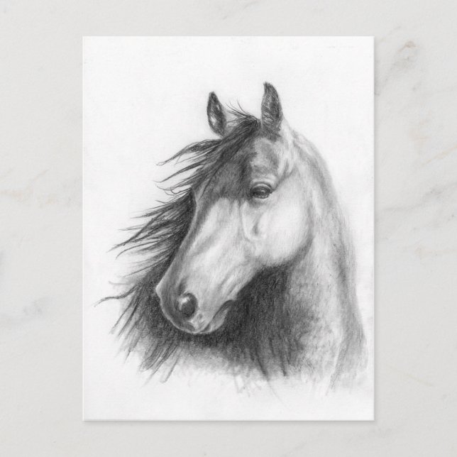 Moe la tarjeta postal de Morgan (Anverso)