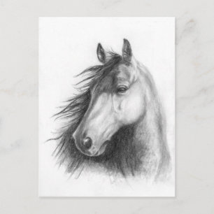 Moe la tarjeta postal del retrato de Morgan