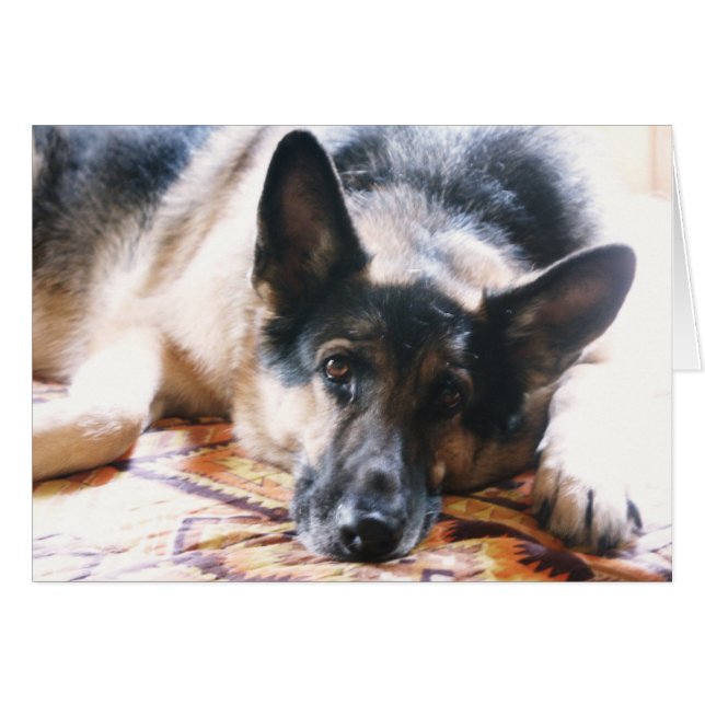 Mojia (Anverso (Horizontal))