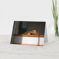 Mojón Terrier en tarjeta de felicitación en blanco
