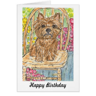 Mojón Terrier que se sienta en tarjeta de