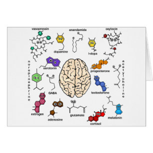 ¡moléculas Galore!