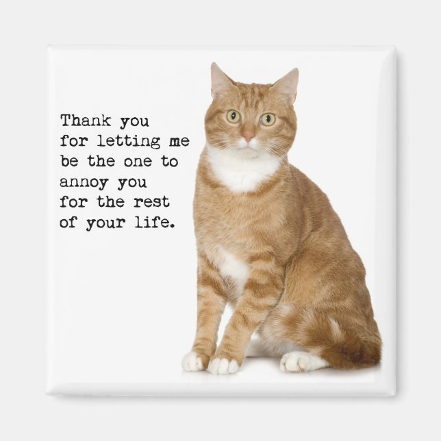 Molesto imán de gato (Frente)