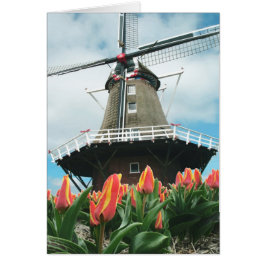 Molino de viento de los tulipanes de la primavera