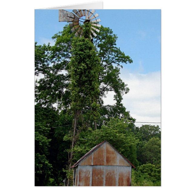 Molino de viento y semilla (Frente)