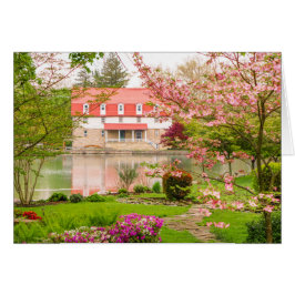 Molino en primavera con la charca