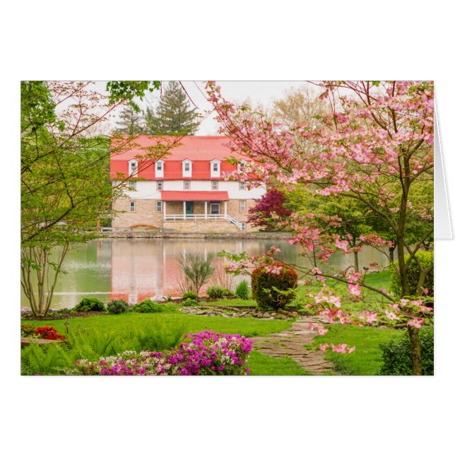 Molino en primavera con la charca (Anverso (Horizontal))