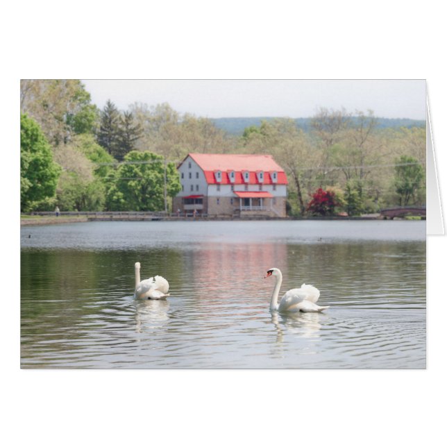 Molino en verano con 2 cisnes en la charca (Anverso (Horizontal))