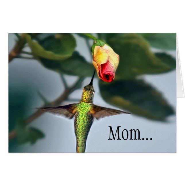 Mom Hummingbird (Anverso (Horizontal))