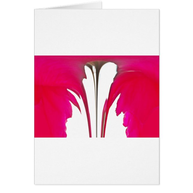 Momento capturado: Elegancia de Petal de Rosa Roja (Frente)