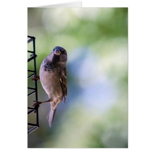 Momento de resplandor para mí (Frente)