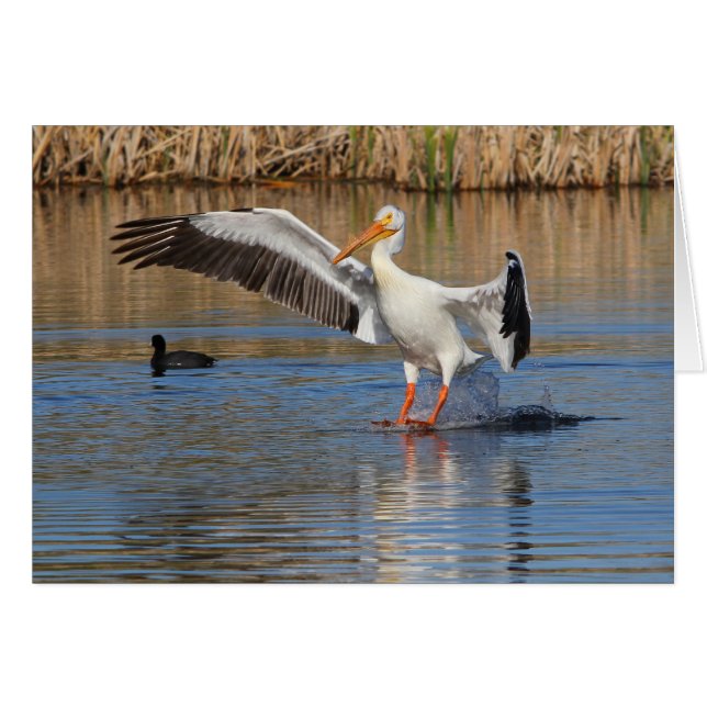 Momento del aterrizaje (Anverso (Horizontal))