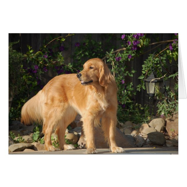 Momento dorado (Anverso (Horizontal))