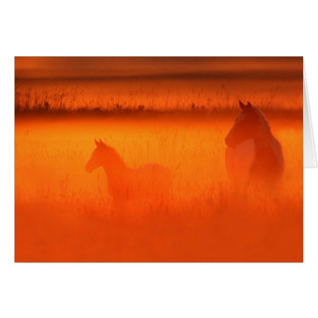 Momento dorado (Anverso (Horizontal))