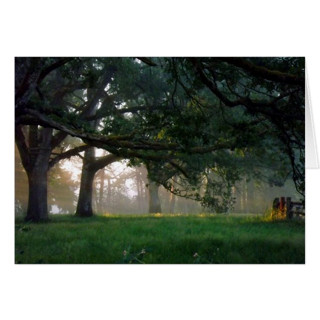 Momento dorado (Anverso (Horizontal))