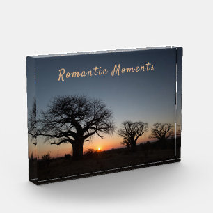 Momentos románticos Sunset Sacred Baobabs foto tex