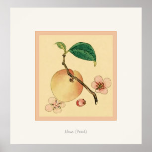 Momo (Peach) ~ Impresión de Bellas Artes japoneses