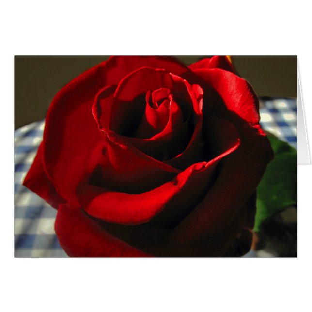 Moms Red Rose (Anverso (Horizontal))