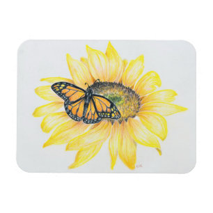 Monarca del imán refrigerador y girasol