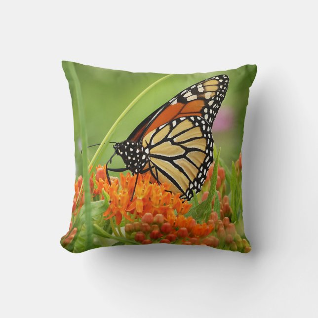 Monarca en el Cojín decorativo de mariposa (Anverso)