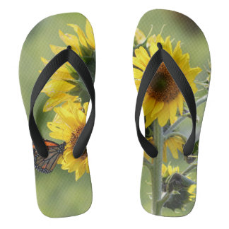 Monarca en las sandalias del flip-flop de los