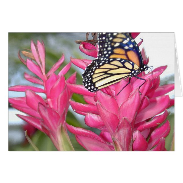 Monarca mágico (Anverso (Horizontal))