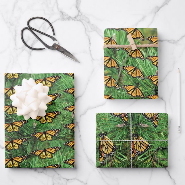 Monarcas de papel de regalo en bolsitas de pino (Anverso)