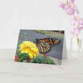 Monarch Sipping Yellow Zinnia, tarjeta en blanco