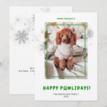 Monas Feliz Navidad Felices Fiestas Perro Foto Hol