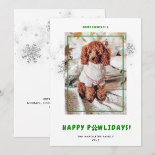 Monas Feliz Navidad Felices Fiestas Perro Foto Hol