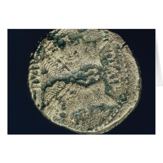 Moneda con las cabezas de Julio César y Augusto (Anverso (Horizontal))