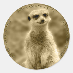 Moneda de Golden Meerkat 2022, Pegatinas redondos