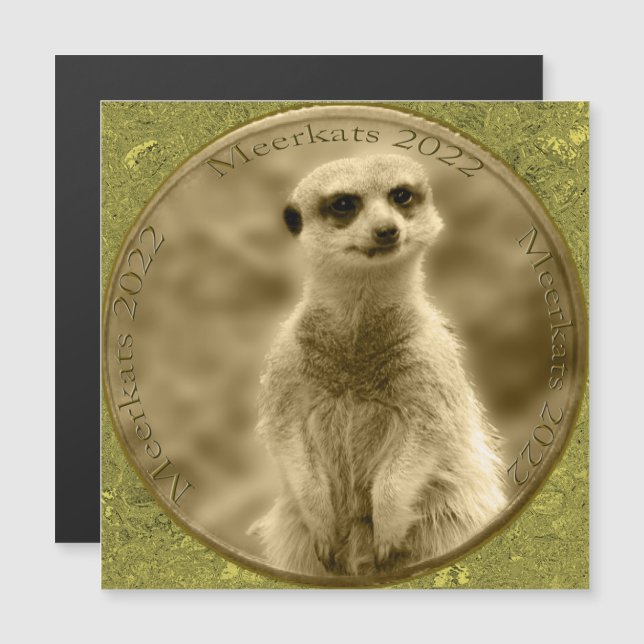 Moneda de Golden Meerkat 2022, tarjeta magnética (Anverso/Reverso)
