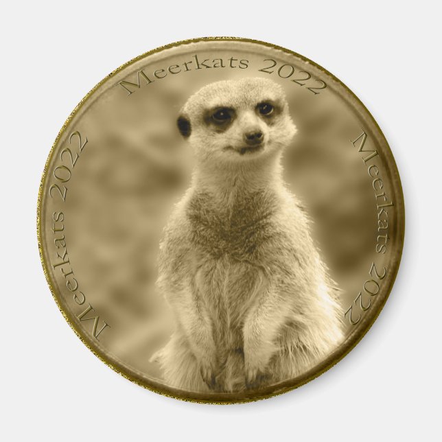 Moneda Golden Meerkat 2022, imán redondo (Frente)
