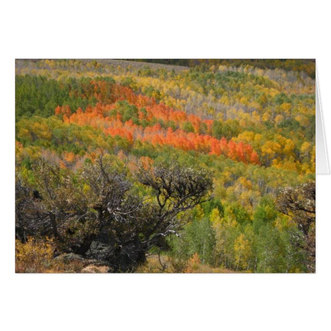 Monet Moment (Anverso (Horizontal))