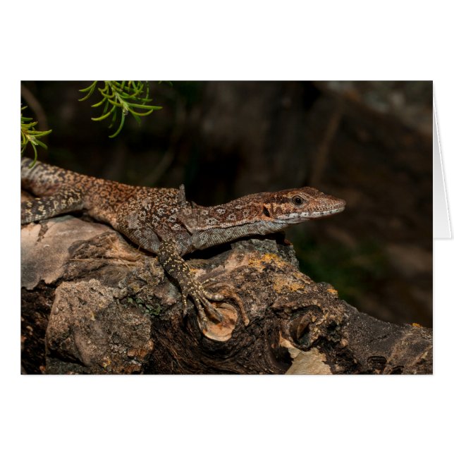 Monitor de árbol visto (Anverso (Horizontal))