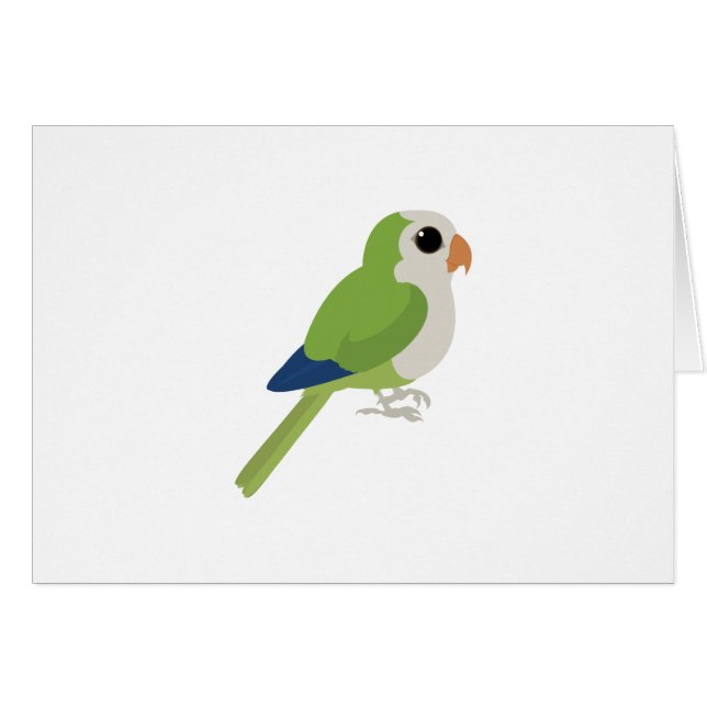 Monk Parakeet (Anverso (Horizontal))