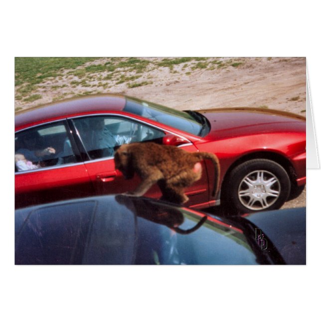 Monkey Business (Anverso (Horizontal))