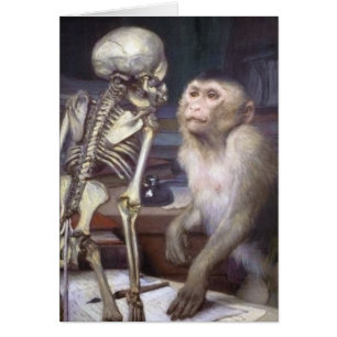 Mono antes del esqueleto