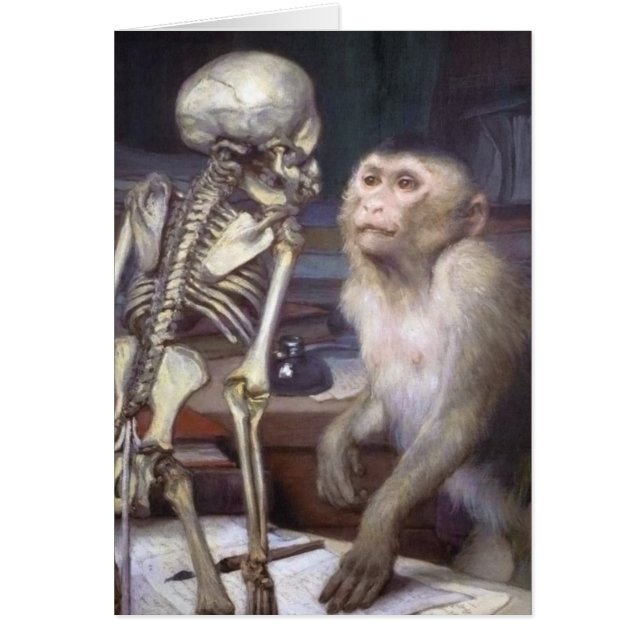 Mono antes del esqueleto (Frente)