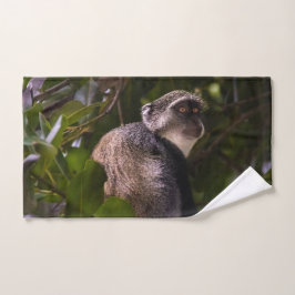 Mono azul, Zanzíbar