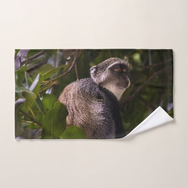 Mono azul, Zanzíbar (Toalla de mano)