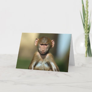 Mono Cheeky - Tarjeta de bebé barato